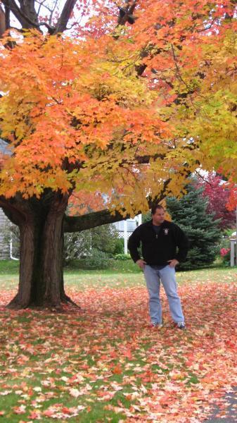 Date this delightful United States man Rick from Seattle US417