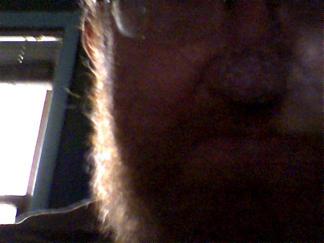 Date this young United States man Driven7 from Union Grove US1759