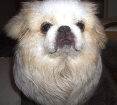 Date this foxy United States man Hybrid69 from Nowhere US5629