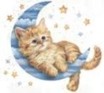 delightful United States man  from Corpus Christi US5780