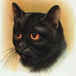 happy United States man  from Los Angeles US6727