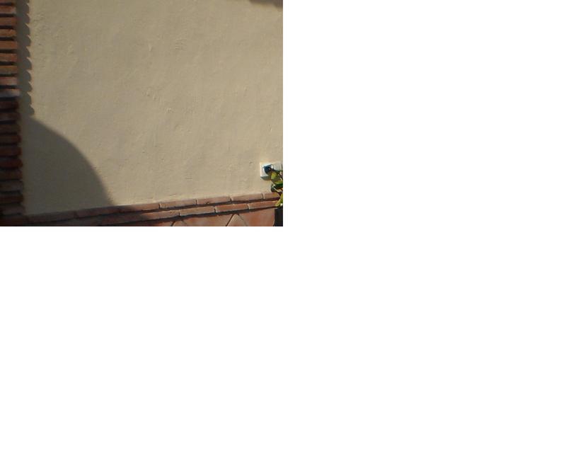 Date this beautiful Spain man Terminalvelocit from Marbella ES129