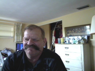 Date this foxy United States man Chet from New Port Richey US11088