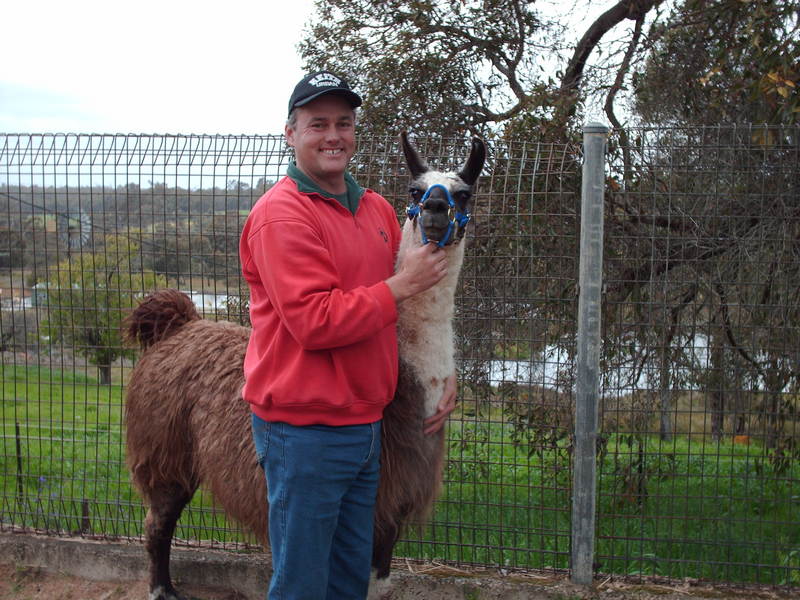 Date this nice looking Australia man Peter from Rockhampton AU233
