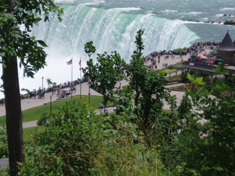 Date this lovely Canada man Tigresalvaje from Niagara Falls CA627
